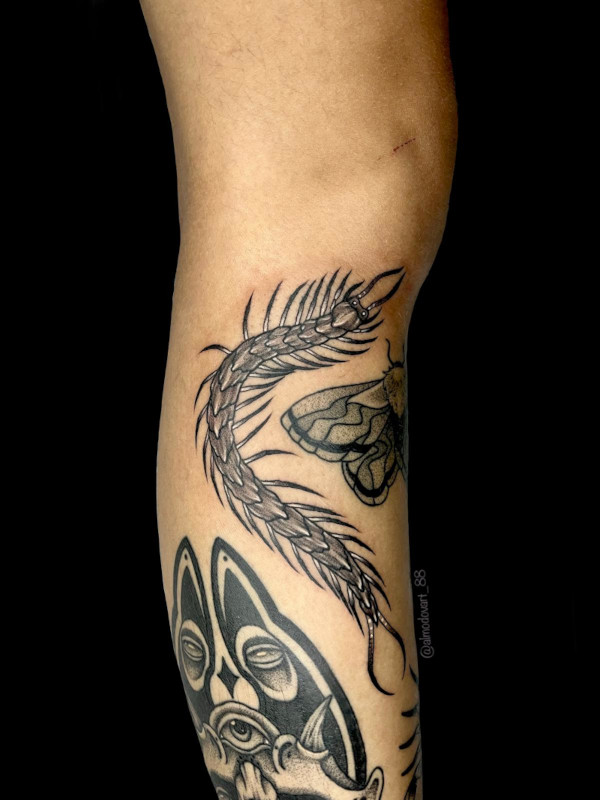 Fine line black and grey calf tattoo of a centipede by tattoo artist Lita Almodovar.